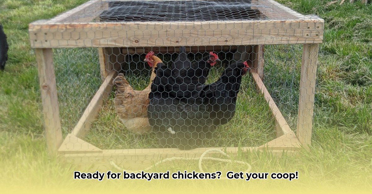tractor-supply-chicken-coop-kit